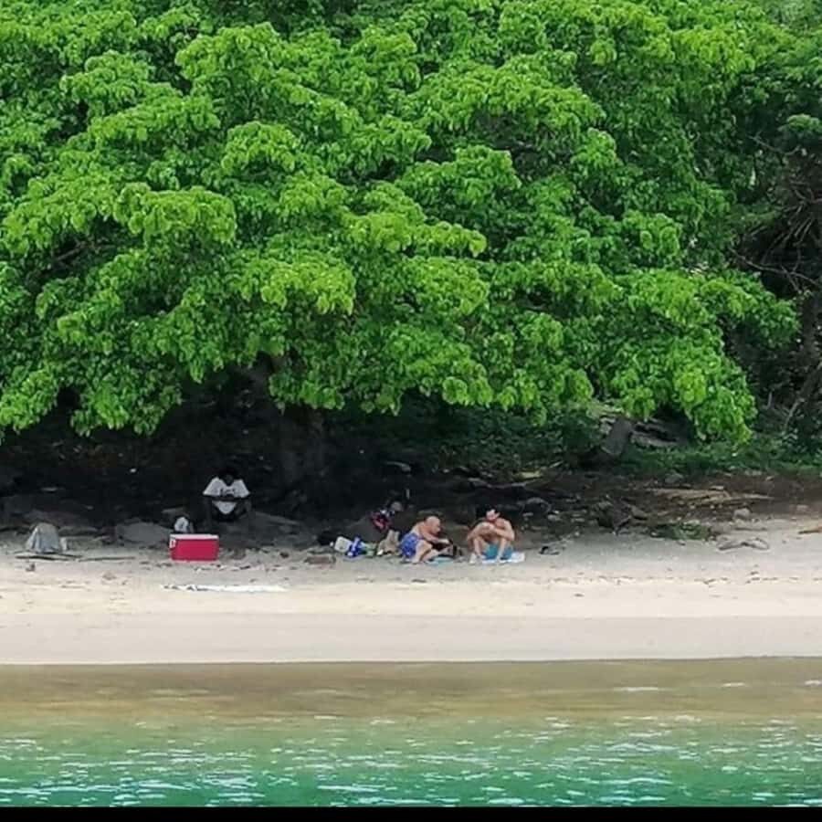 Snorkel at Playa del Toro, leaving from Sayulita: a day at the beach - Why This Tour Works