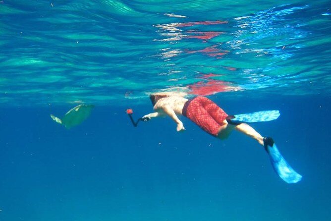 Snorkel Tour - Authentic Insights from Reviewers