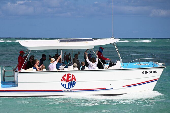 Snorkel trip + natural pool Bávaro - Booking & Logistics