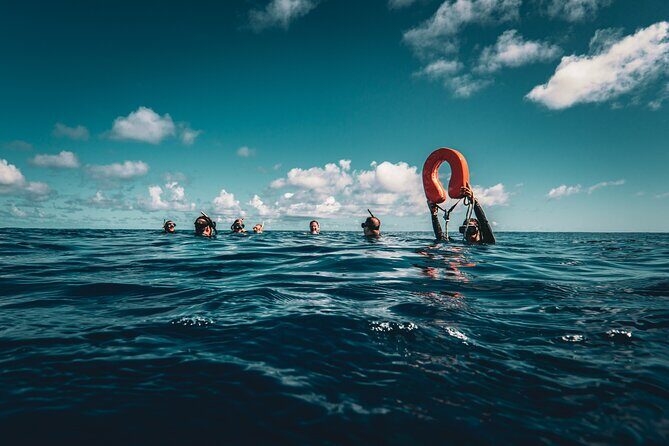 Snorkeling Tour in Moorea Aquatic Adventure Half Day - Pricing and Value
