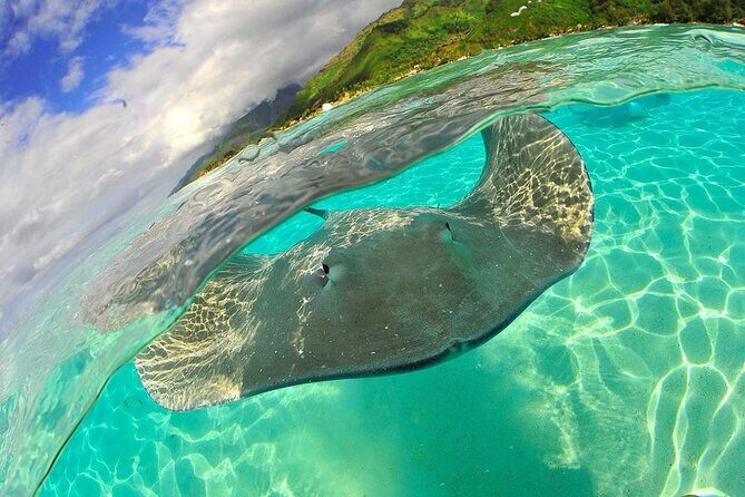 Snorkeling with underwater scooter in Tahaa lagoon from Raiatea - What Makes This Tour Stand Out?