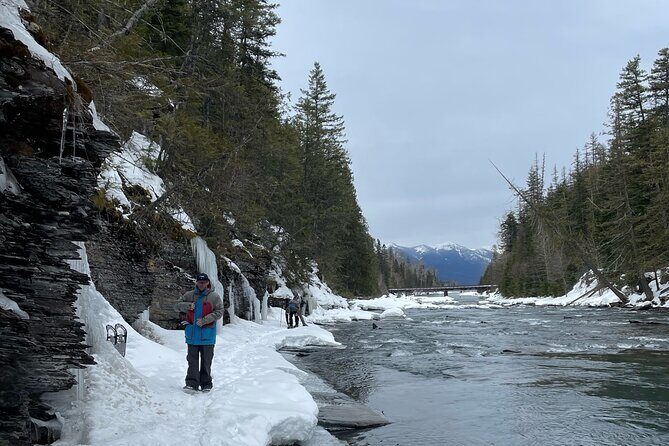 Snowshoe and Scenic Drive Tour in Glacier National Park - How Does the Price of $240 Per Person Measure Up?