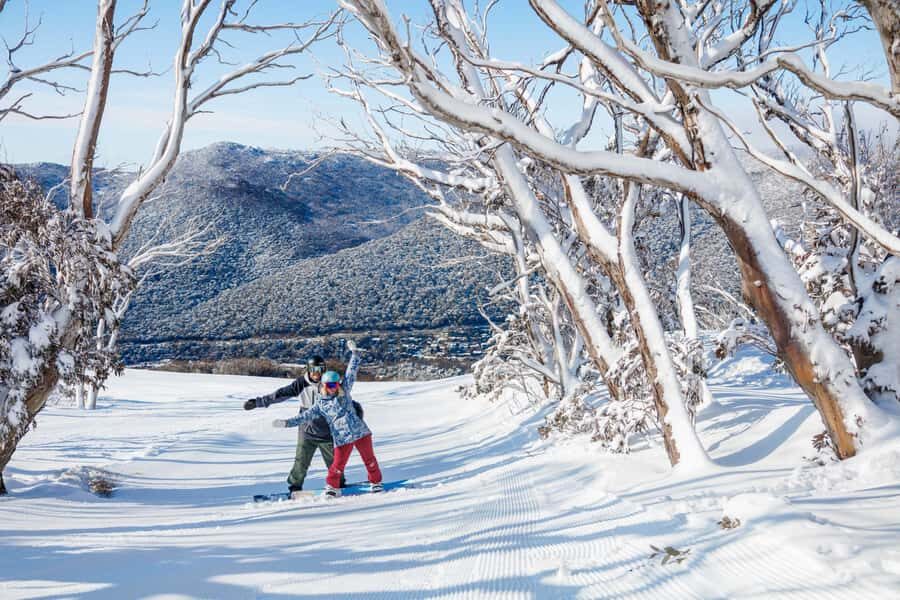 Snowy Mountains: 1-Day Snow Adventure at Thredbo From Sydney - Why This Tour Can Be a Great Choice