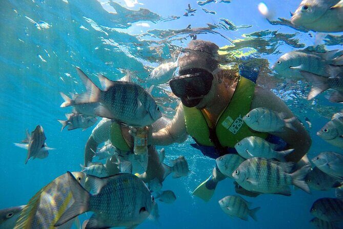 Sosua beach excursion with snorkeling included to Sosua Bay - What You’ll Experience on the Tour