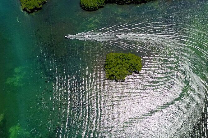 SpeeBoat Tour Whit Snorkeling In Cancún- Drive Your Own Boat - Who Will Love This Tour?