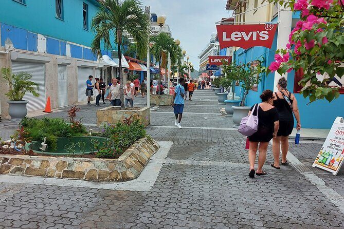 St. John's City Private Tour including Fort James - Exploring the Tour Itinerary