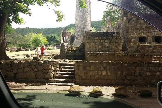 St Kitts Rainforest Tour - An In-Depth Look at the Tour Itinerary