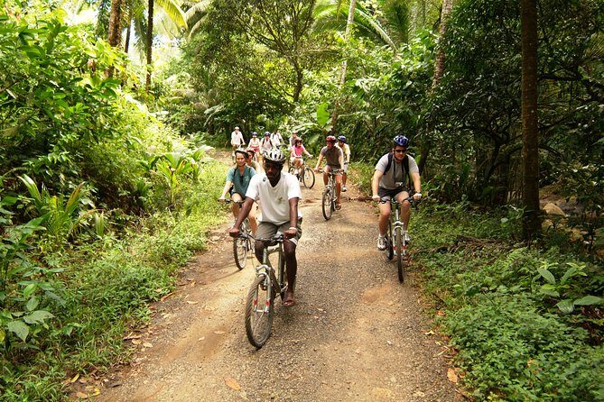 St Lucia Bike and Hike - The Value of This Tour
