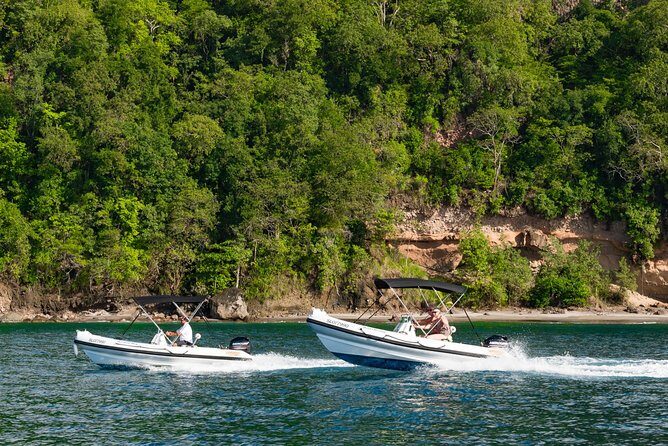 St. Lucia Drive and Snorkel Experience - What Makes This Tour Stand Out?