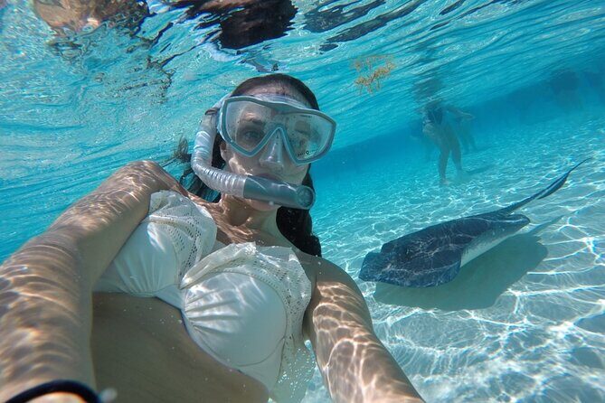Stingray City and Two Reef Snorkeling Cayman Adventure - In-Depth Breakdown of Itinerary