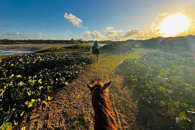 Sunset Horseback Ride at Macao Beach & Forest with Transfers - What’s Included and What to Expect