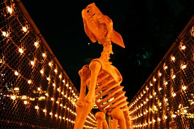 Suspended at Capilano Bridge: A 7-Stop Halloween Private Tour - Who Will Love This Tour?