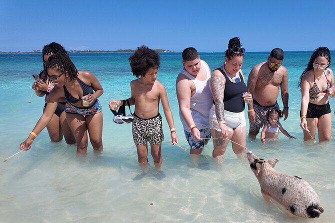Swimming Pigs, Snorkeling and Beach Tour in Nassau Bahamas - What’s Included & What to Consider