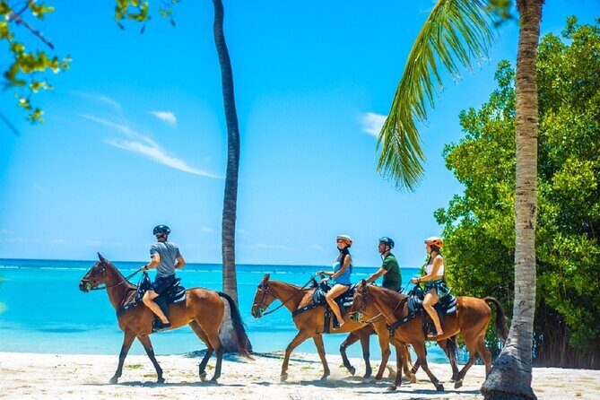 Swimming with Horses at the Beach from Punta Cana Free transportation - Deep Dive: Why It Matters for Your Trip