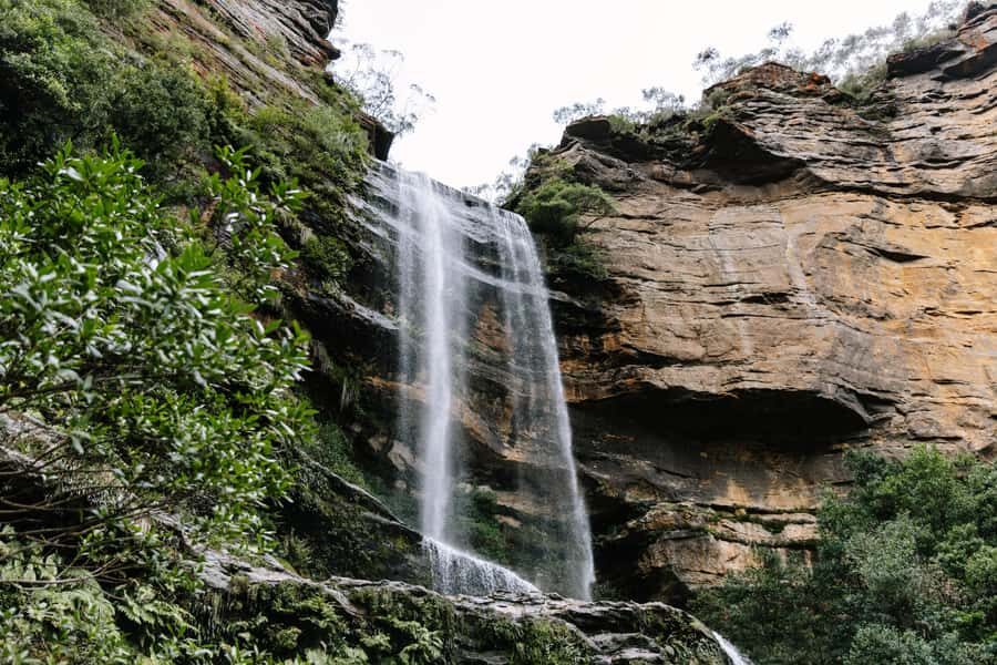 Sydney: Blue Mountains Tour with Wildlife Park & Waterfalls - Value for Money & Overall Experience