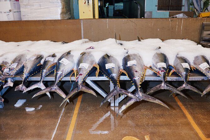 Sydney Fish Market Behind the Scenes Tour - Final Thoughts