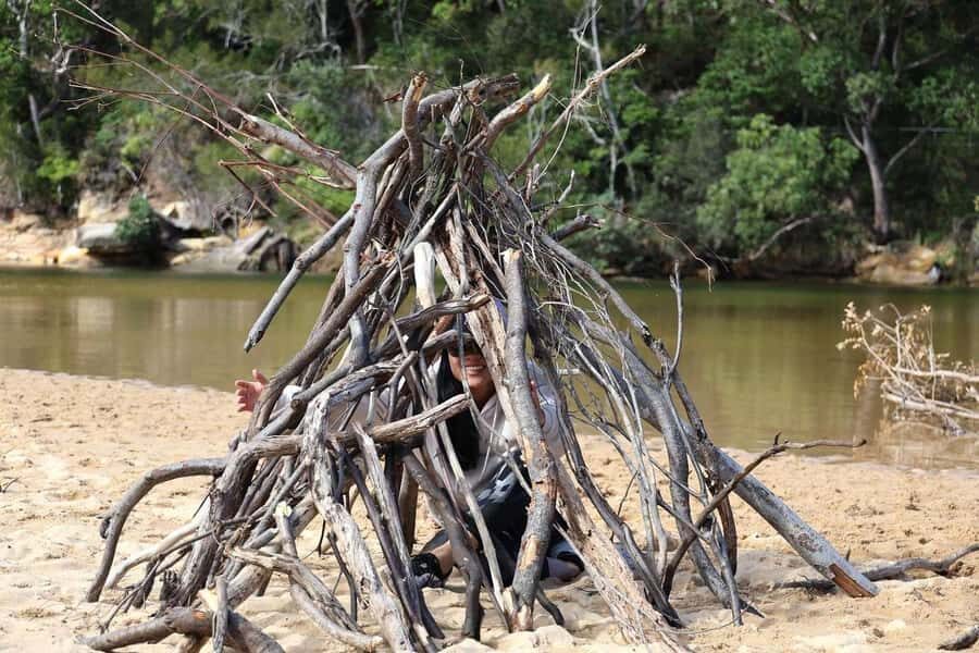 Sydney: Royal National Park private day tour - What Makes This Tour Stand Out?