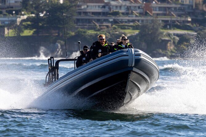 Sydney Whale Watching on Small RIB - What to Expect During the Tour