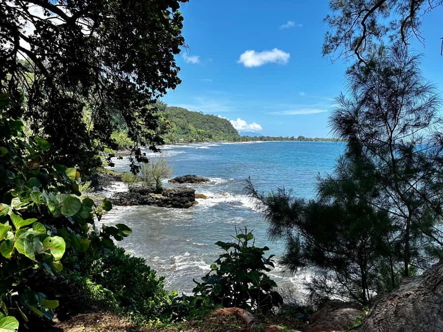 Tahiti: East or West coast tour (Half Day) - Exploring the East Coast: Wilderness and Waterfalls