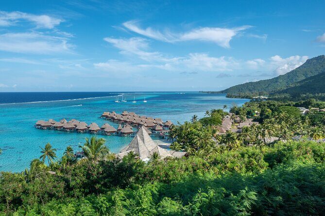 Tahiti Volcanic Adventure Full Day Private Shore Tour - Who will enjoy this tour?