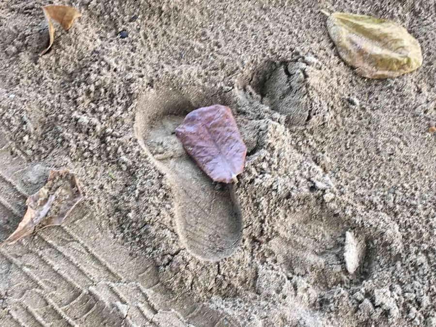 Tanoa Waterfront Hotel to Natadola Beach Round Trip - The Itinerary and What to Expect