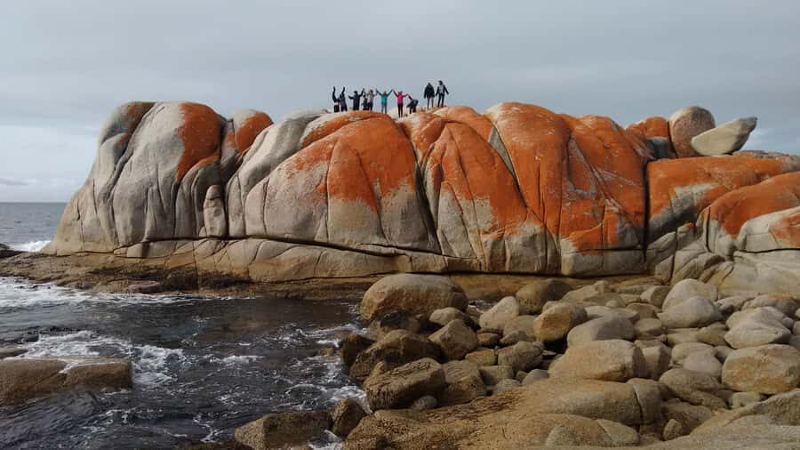Tasmania: 7-Day West to East Tour - The Rugged West Coast: Forests, Sand Dunes, and the Gordon River