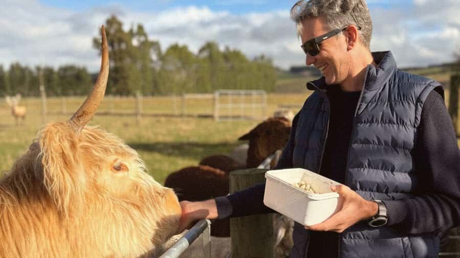 Te Anau: Milford Sound Coach & Cruise with Farm Experience - The Sum Up