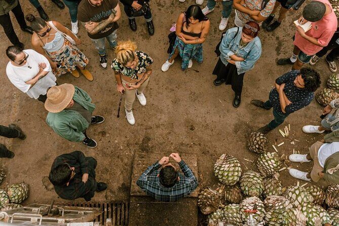 Tequila Distilleries Admission Tickets & Tastings - What Past Reviewers Say