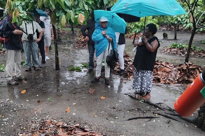 The Solomon Chocolate trail - Who Should Consider This Tour?