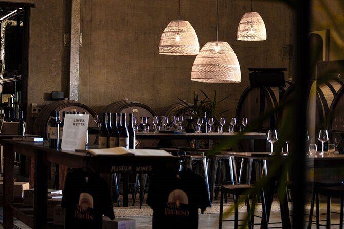 The Top-Tier Tour - What the Reviews Say (Based on available feedback)