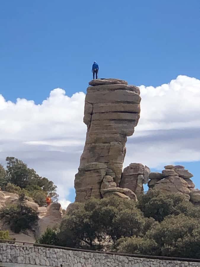 This guid tour lets the customers experience 4 bio zones. - Detailed Breakdown of the Itinerary