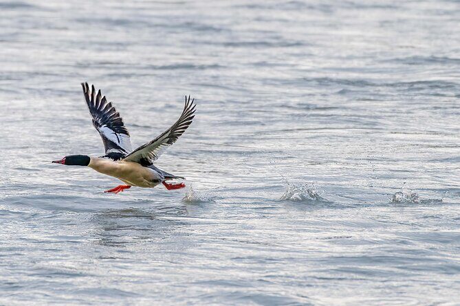 Three Day Private Denali Photo Workshop - Practical Considerations
