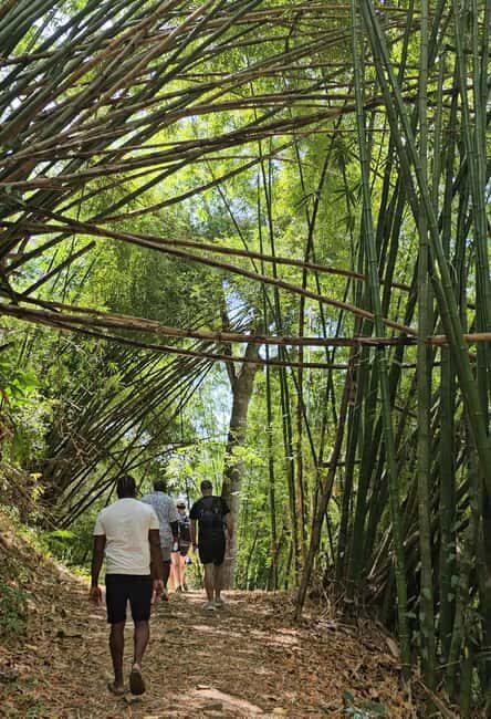 Tobago: Half Day Atlantic Coast Tour with Transfer - Authenticity and Value