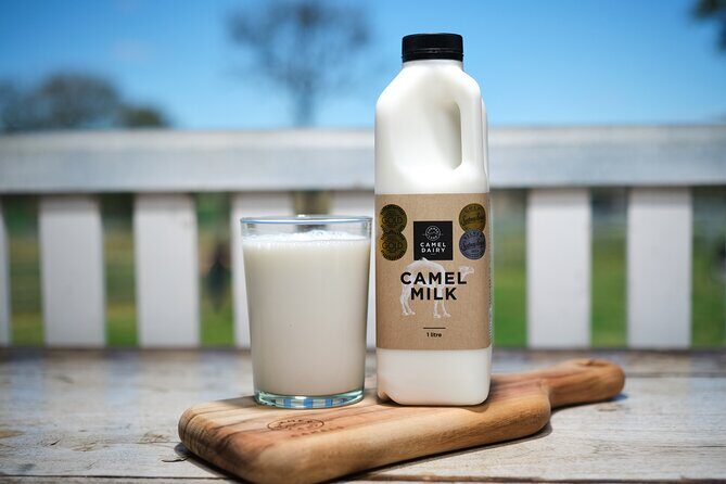 Tour, Taste & Camel Encounter - Summary