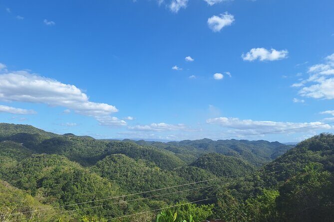 Treasure Beach Craft & Pineapple Farm Experience- Jamaica - The Sum Up