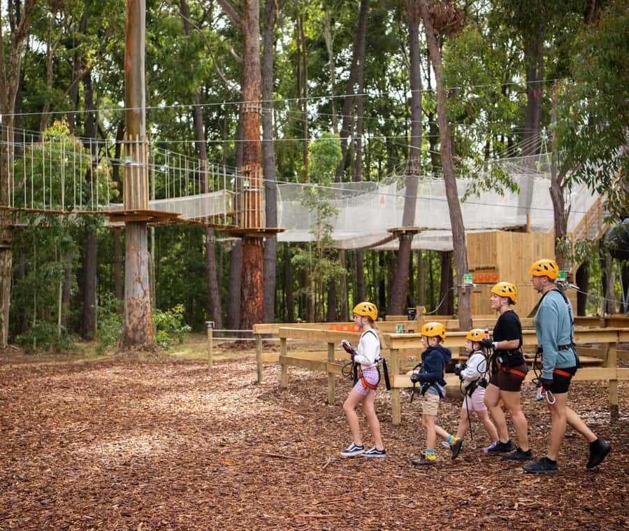 TreeClimb Kuitpo Forest: Exciting Treetop Climbing Adventure - What to Expect During Your Climb