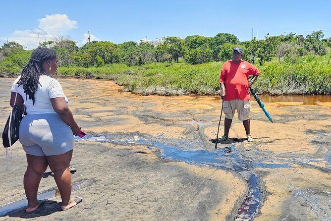 Trinidad Treasures Pitch Lake Temple and Scarlet Ibis - Practical Details and Value