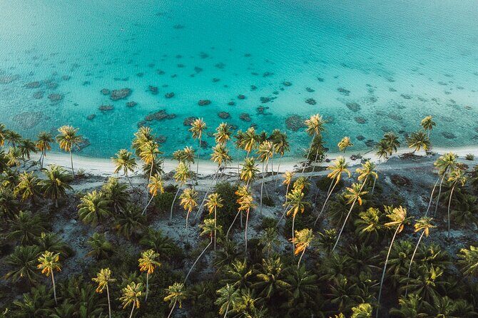 Tropical Quads (2 PERSONS PER QUADS ) - Final Thoughts