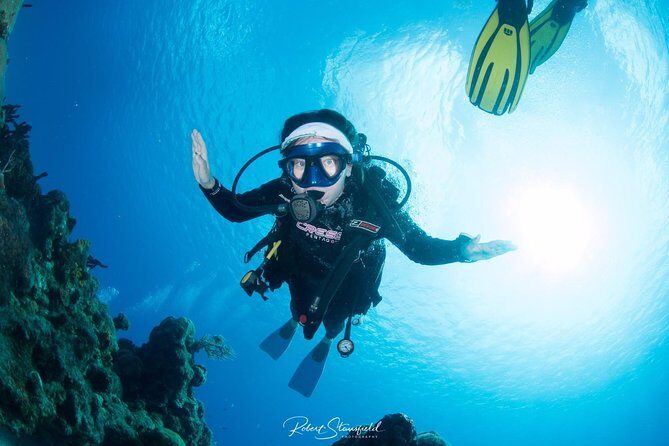 Try Scuba Diving - No previous experience! - Detailed Itinerary Breakdown