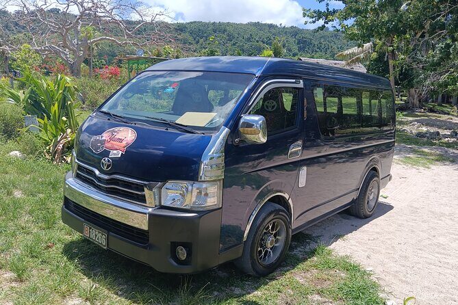 Turtle Encounter with Yumi Tours - The Sum Up