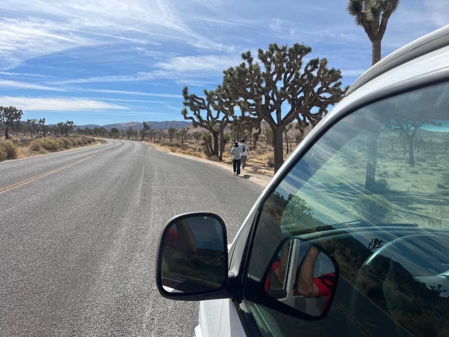 Ultimate Joshua Tree National Park Private Group Adventure - The Itinerary: What’s Included and Why It Matters