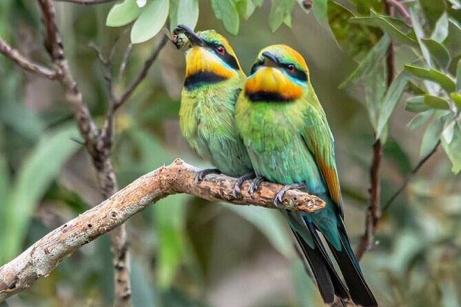 Unique and Personal BushTracks Eco Tour in Agnes Water 1770 - Who Should Consider This Tour?