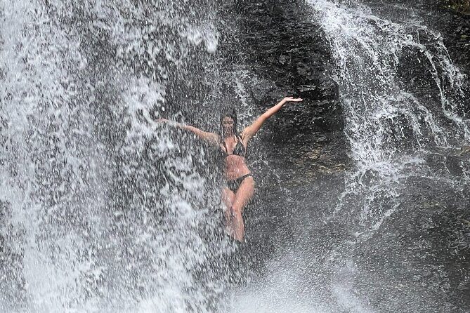 UTV 4wd Cassowary Falls and Daintree Rainforest Adventure tour - Who Should Consider This Tour?