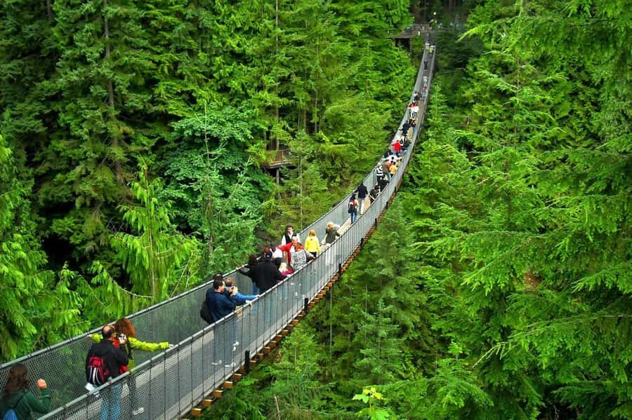 Vancouver: Capilano Bridge, Grouse Mountain & Aquabus Tour - A Step-by-Step Breakdown of the Itinerary