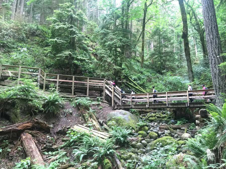 Vancouver: Lynn Canyon Park Hike & Pitt Meadows Bike Tour - A Detailed Breakdown of the Day