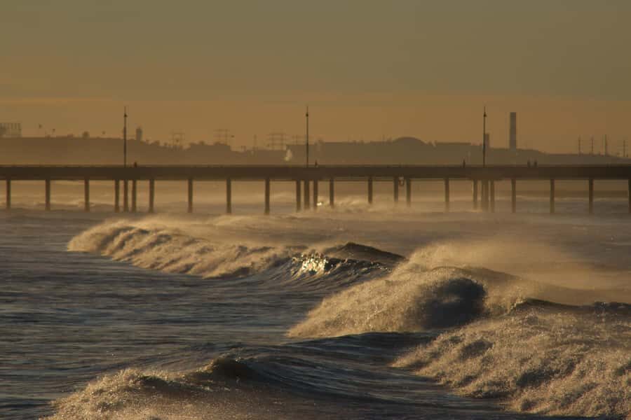 Venice Beach: Guided Walking Tour of the Canals - What to Expect and Why It Matters