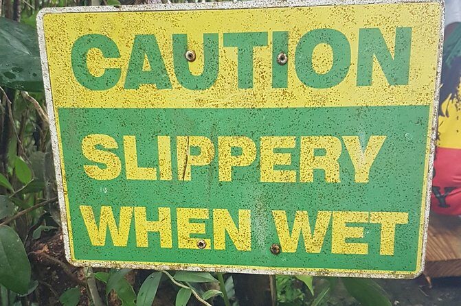 Vermont Nature Trail Hike - Authentic Experiences and Practical Tips