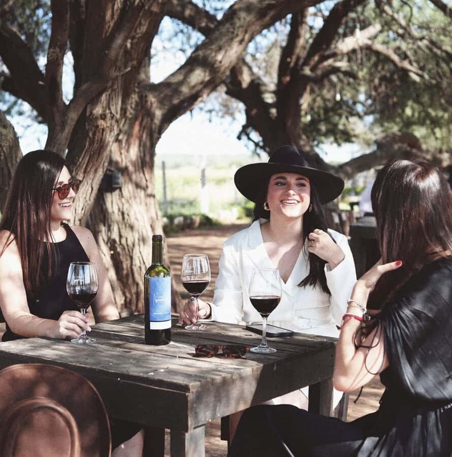 VINEYARD TOUR - Who Will Love This Tour?