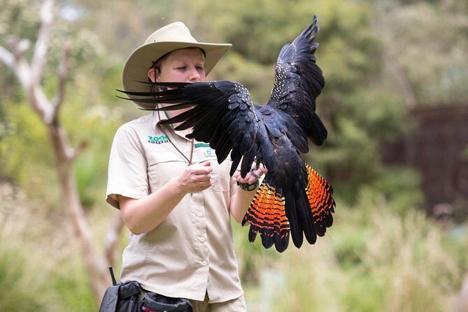 VIP Sanctuary Tour at Healesville Sanctuary - excl. entry - Exploring the Itinerary