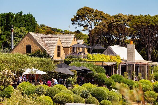 Waiheke Island Day Tour: Ziplining, Wine Tasting & Vineyard Lunch - Practical Details: What You Need to Know